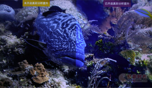 画质