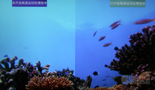 运动