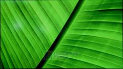 真正FULL HD!松下50寸等离子全国首测  真正FULL HD!松下50寸等离子全国首测