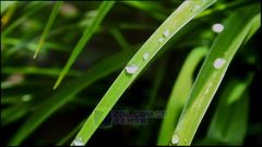 真正FULL HD!松下50寸等离子全国首测  真正FULL HD!松下50寸等离子全国首测