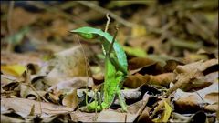 真正FULL HD!松下50寸等离子全国首测  真正FULL HD!松下50寸等离子全国首测