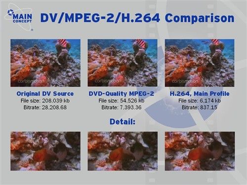 32寸液晶赏
