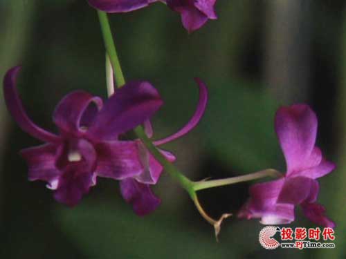 宏碁H5360投影机抗锯齿性能评测