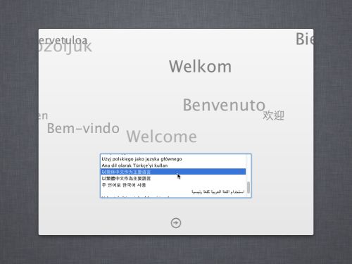 品苹果滋味 小Y暴力虚拟Lion系统教程