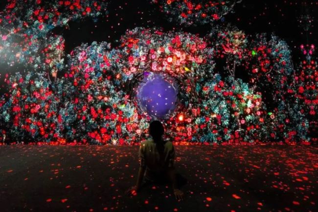 巴可 |唤醒 · 全沉浸式体验“永恒的自然”