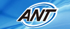 鿴ANTר