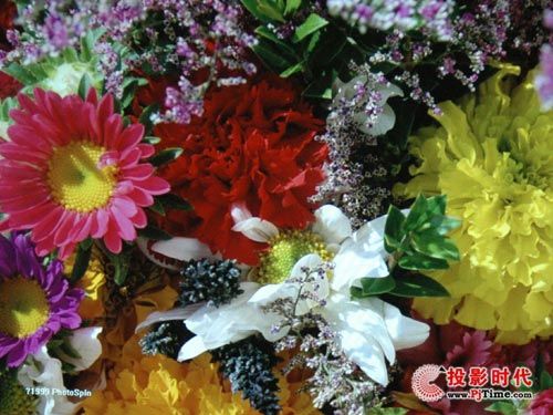 富可视IN3186基准性能测试