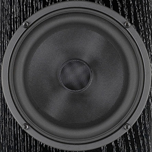 ϸĴAudio Physic Classic 8