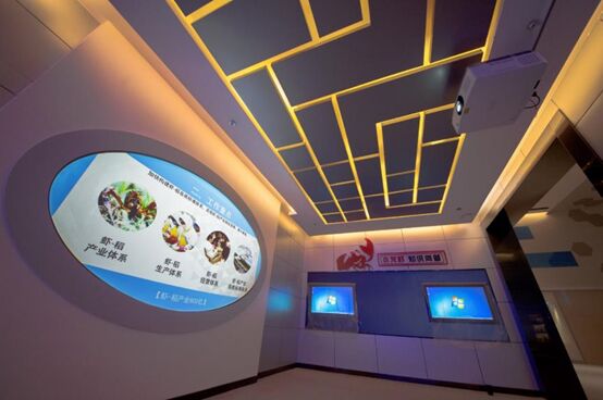 小龙虾吃出大经济 NEC带你打卡中国一流龙虾博物馆