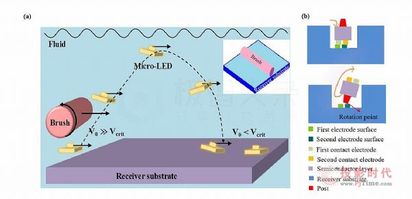 Micro LEDʾȫʻؼ